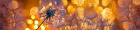 Кухонный фартук Мерцание Одуванчики золотистые 3 серебро в Горняке - gornyak.katalogmebeli.com | фото 1