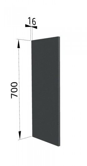 Панель торцевая П Квадро (для шкафа верхнего) Железо в Горняке - gornyak.katalogmebeli.com | фото