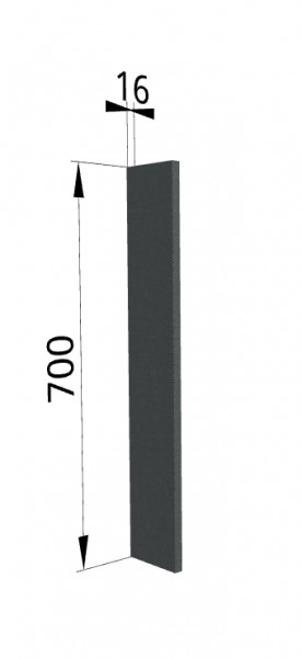 Панель торцевая ПТ 400 Квадро (для шкафа торцевого верхнего) Железо в Горняке - gornyak.katalogmebeli.com | фото